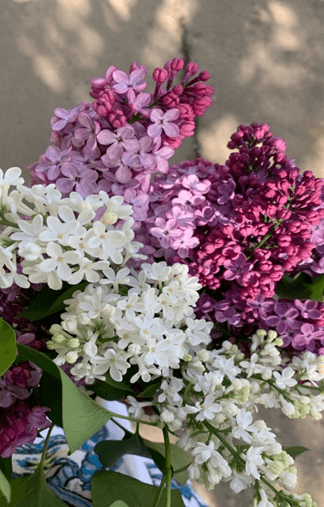 Fotografie pre PRÍBEH POMOCI - od našej spolupracovníčky Táni